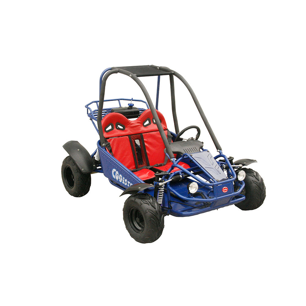 Electric And Pedal Go Kart Engine 125cc For Outdoor Fun 