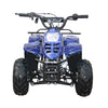 Coolster 3050c 110cc Automatic-Gasoline Powered Kids 4-Stroke ATV-4 Wheeler