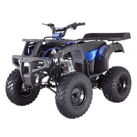 Tao Motor RHINO-250 | 200cc Youth-Adult-Kids Manual Shift ATV 4-Wheeler - Reverse
