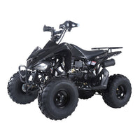 Tao Motor ATA150G 150cc Youth/Adult Automatic ATV 4-Wheeler with Reverse