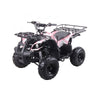 Coolster 3125R 125cc Automatic Gasoline Powered Youth 4-Stroke ATV-4 Wheeler with Reverse