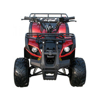 Coolster 3125R 125cc Automatic Gasoline Powered Youth 4-Stroke ATV-4 Wheeler with Reverse