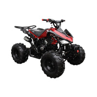 Coolster 3125-CX2 125cc 125cc Automatic-Gasoline Powered Youth 4-Stroke ATV-4 Wheeler with Reverse