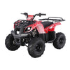 Tao Motor ATA125D 110cc Youth/Kids Automatic ATV-4-Wheeler with Reverse