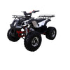 Tao Motor NEW TFORCE - 120cc Youth-Adult-Kids Automatic ATV 4-Wheeler with Reverse