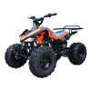 Tao Motor CHEETAH - 110cc Youth-Adult-Kids Automatic ATV 4-Wheeler with Reverse
