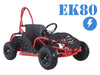 Tao Motor EK80 Automatic Electric Kids / Youth Go Kart