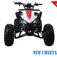 Tao Motor NEW CHEETAH - 120cc Youth-Adult-Kids Automatic ATV 4-Wheeler with Reverse