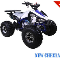 Tao Motor NEW CHEETAH Youth ATV