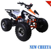 Tao Motor NEW CHEETAH Youth ATV
