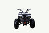 Tao Motor RAPTOR - 120cc Youth-Adult-Kids Automatic ATV 4-Wheeler with Reverse