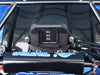 Tao Motor TFORCE - 120cc Youth-Adult-Kids Automatic ATV - Gear Indicator