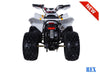 Tao Motor REX - 120cc Youth-Adult-Kids Automatic ATV 4-Wheeler - Reverse - Dual Disc Brakes