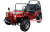 Coolster GK6125A 125cc Adult-Youth-Kids Automatic 2-Seater Jeep Willys Style Go Kart