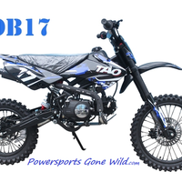 Tao Motor DB-17 Youth Pit Bike | Mini Dirt Bike