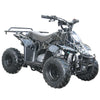 Coolster 3050c 110cc Automatic-Gasoline Powered Kids 4-Stroke ATV-4 Wheeler